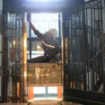 L'importance de la maintenance des ascenseurs dans les immeubles d'habitation